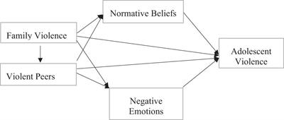 Pathways From Family Violence to Adolescent Violence: Examining the Mediating Mechanisms